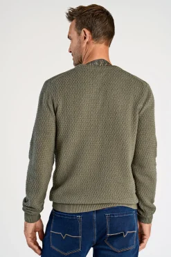 Bison Strik