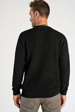 Bison Strik