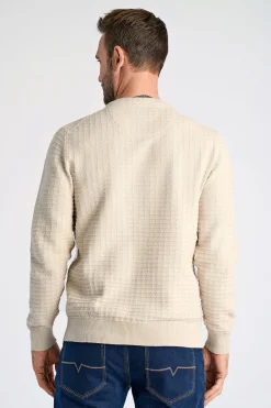 Bison Strik