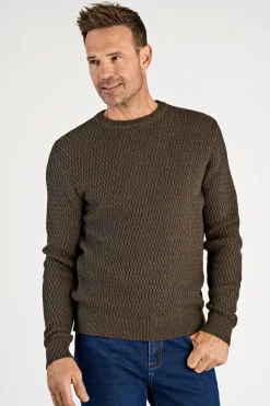 Bison Strik