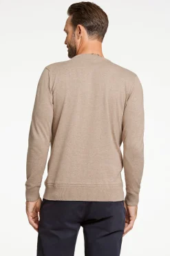 Bison Strik