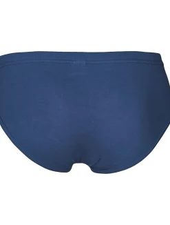 JBS Briefs