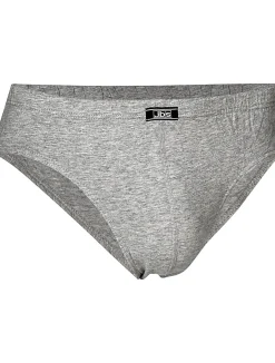 JBS Briefs