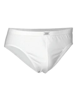 JBS Briefs