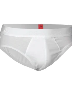 JBS Briefs