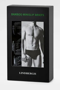 Lindbergh Briefs