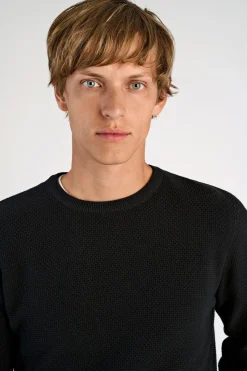 Lindbergh Strik