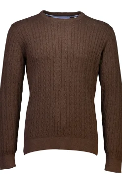 Morgan Strik