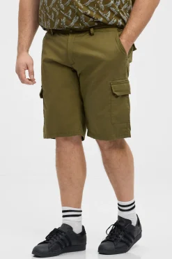 North Cargo shorts