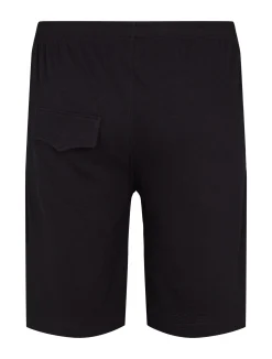 North Casual shorts