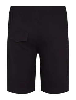 North Casual shorts