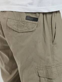 North Casual shorts