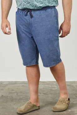 North Casual shorts